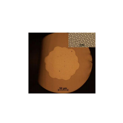 190 ‰ 1250 nm (UV) 300 ‰ 2400 nm (IR) Fibra di fibra di imaging Multi-core: 3000 ‰ 100000 Apertura numerica (NA):> 0.5