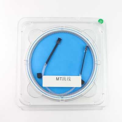 SM PM Fiber 2/8/16/32 CH Multi-channel Fiber Optical Array MT-FA